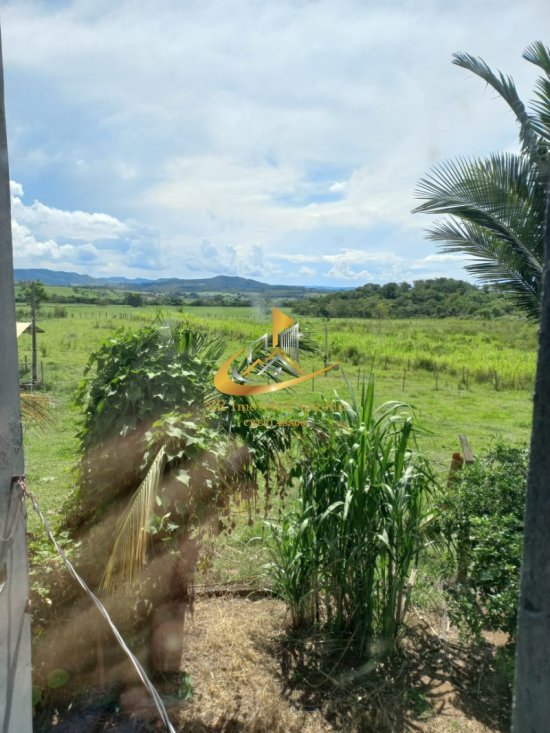 sitio-venda-municipio-de-piunhi-mg-1001083