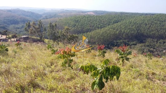 fazenda-venda-piunhi-908942