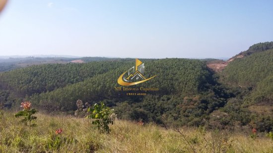 fazenda-venda-piunhi-908943
