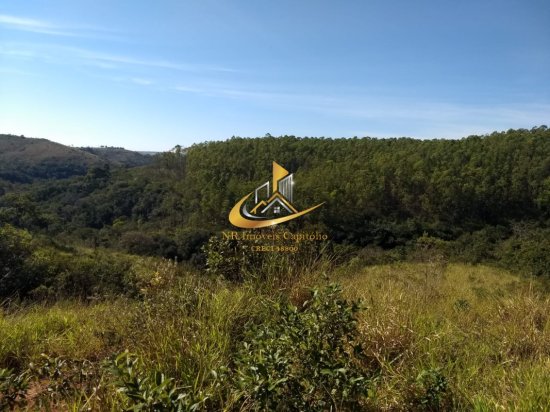fazenda-venda-piunhi-908944
