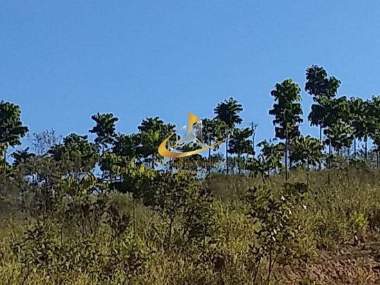 fazenda-venda-piunhi-908948